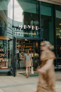 Meyer 03047